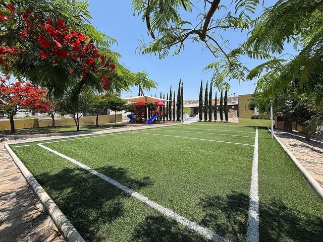 place photo 48