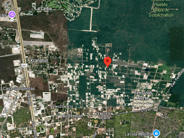 place photo 4