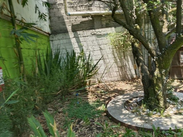 place photo 47