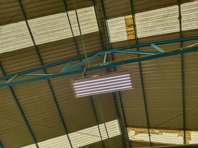 place photo 39