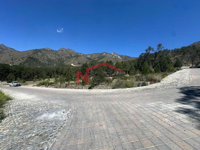 place photo 12