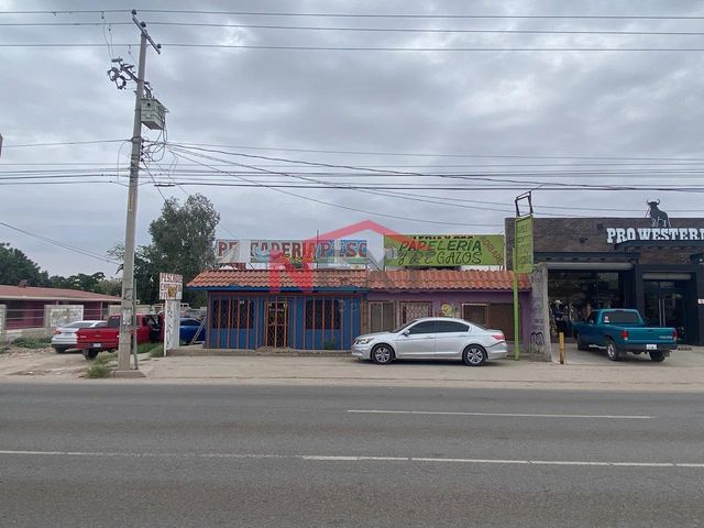 place photo 7