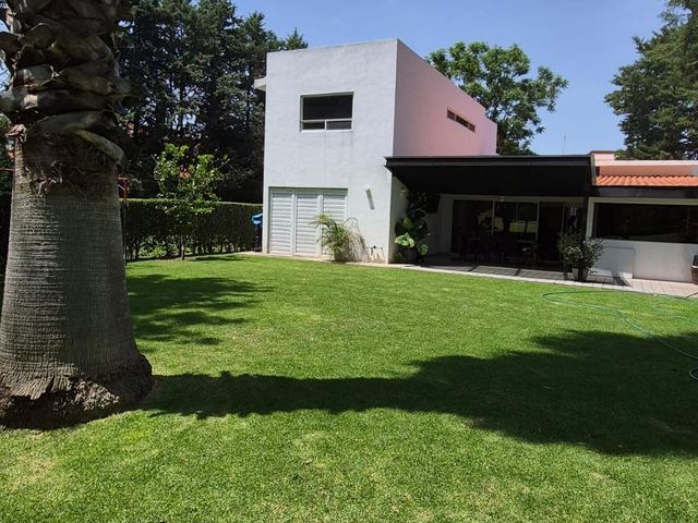 place photo 44