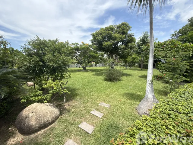 place photo 37