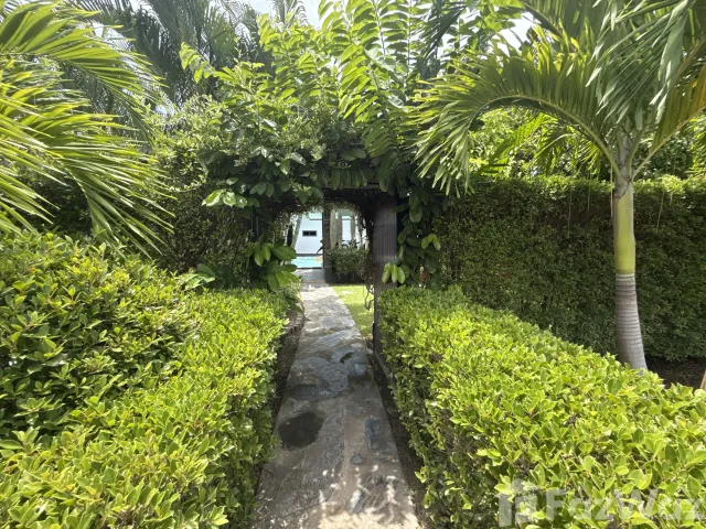 place photo 46
