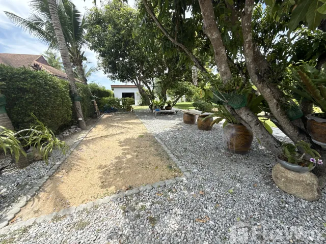 place photo 33
