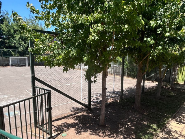 place photo 18