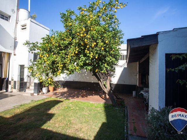 place photo 38