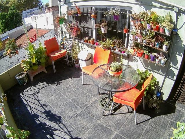 place photo 24