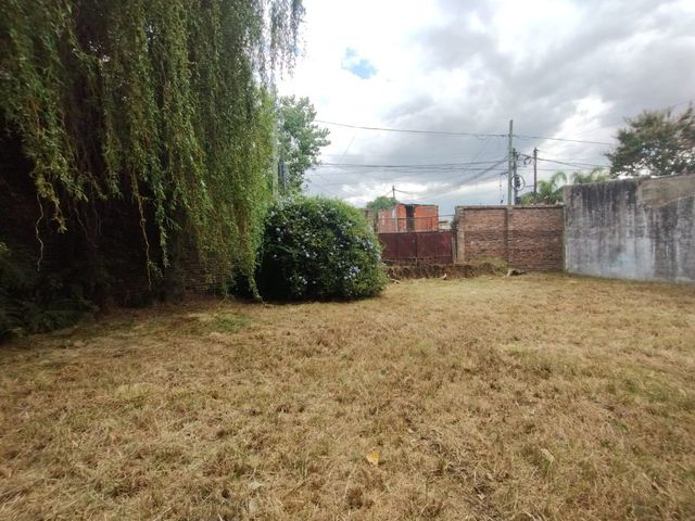 place photo 22