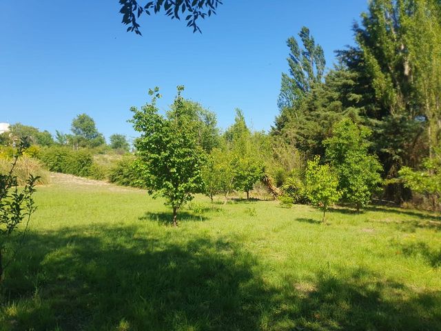 place photo 41