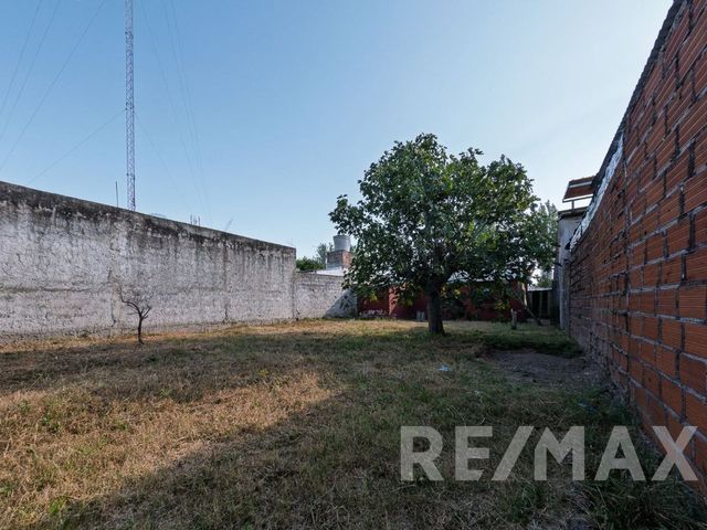 place photo 15