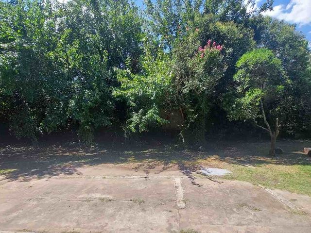 place photo 28
