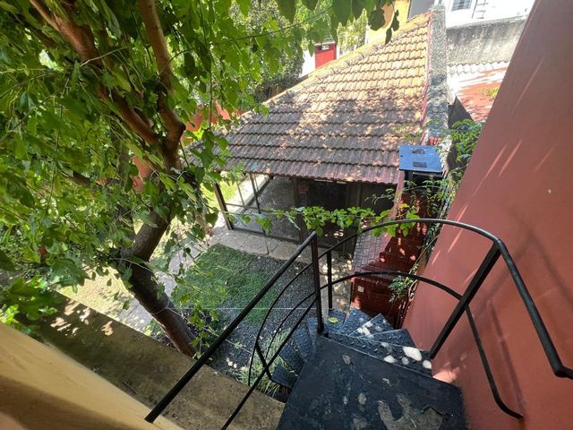 place photo 49
