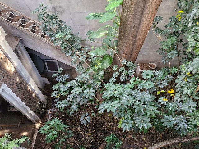 place photo 26