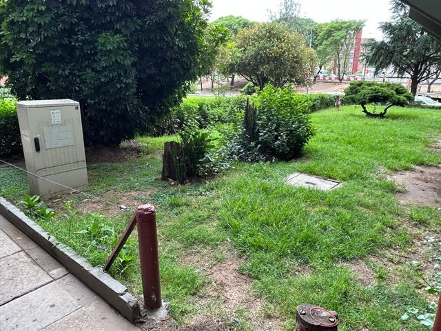 place photo 40