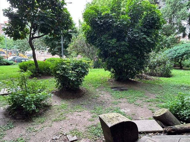 place photo 39