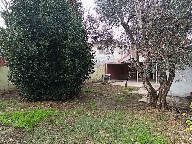 place photo 32