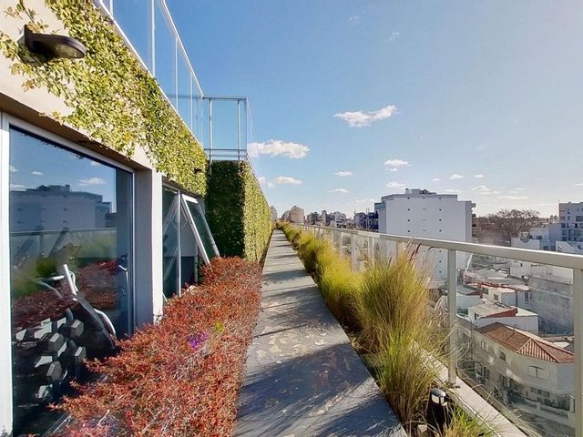 place photo 57