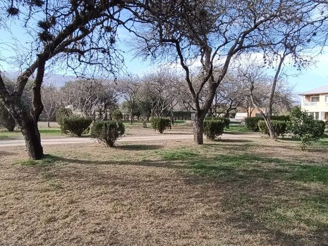 place photo 35