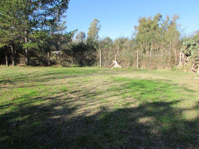 place photo 32