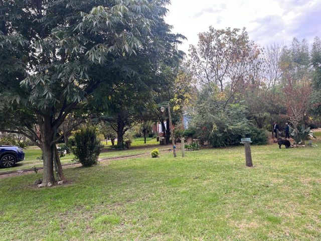 place photo 21