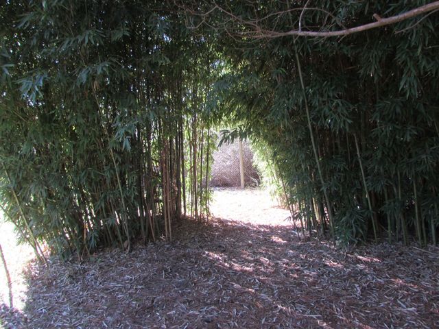 place photo 35