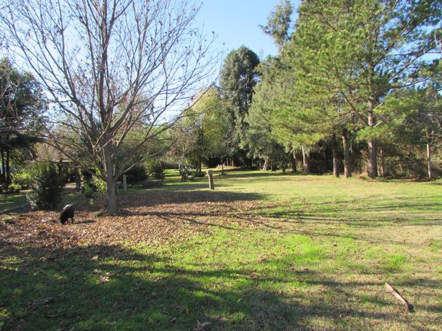 place photo 30