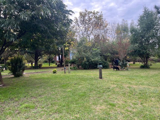 place photo 24