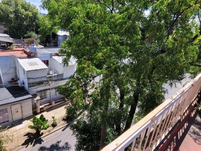 place photo 39