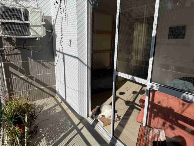 place photo 45