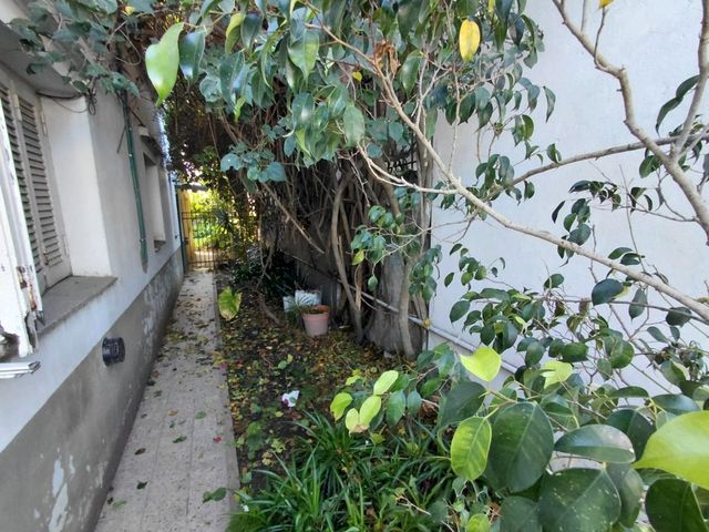 place photo 32