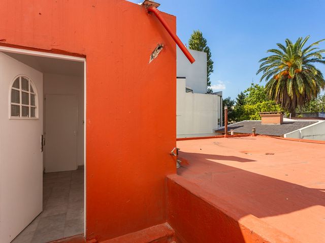 place photo 55