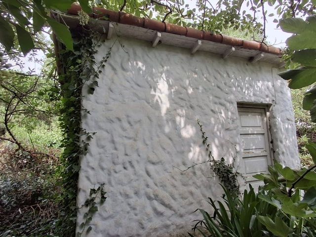 place photo 47