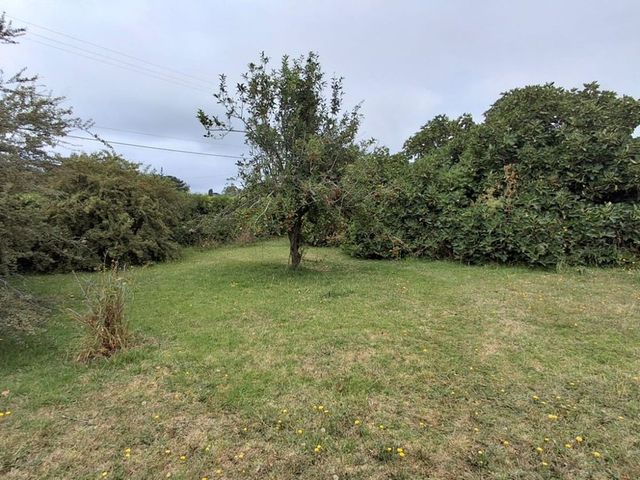 place photo 48