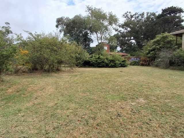 place photo 49