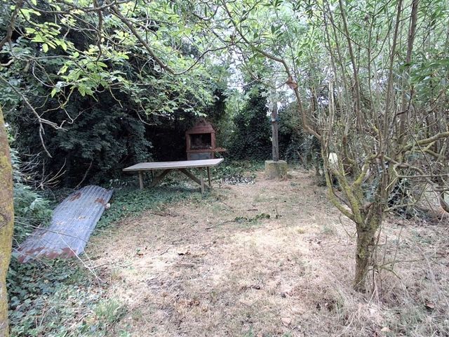 place photo 46
