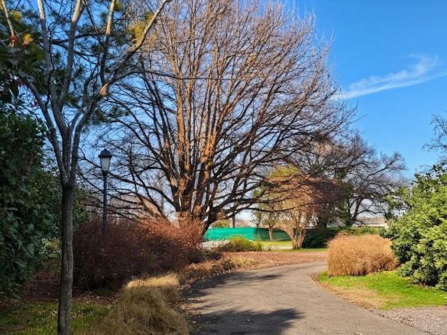 place photo 18