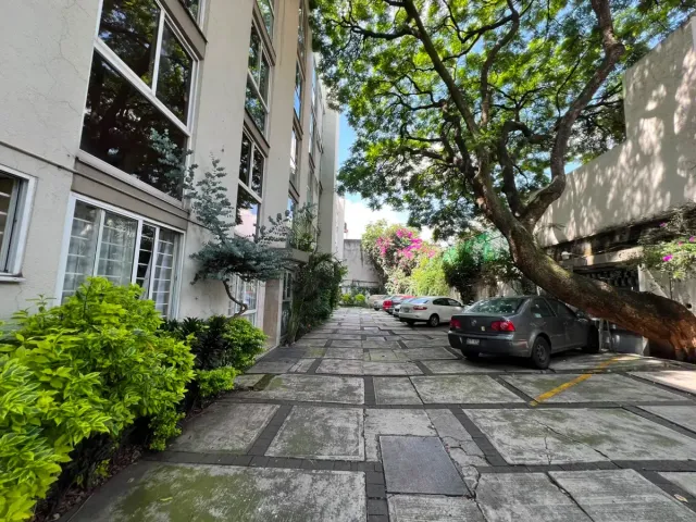 place photo 34