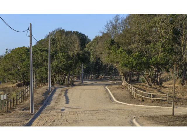 place photo 17