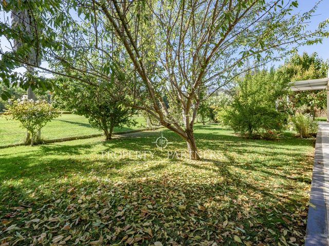 place photo 67