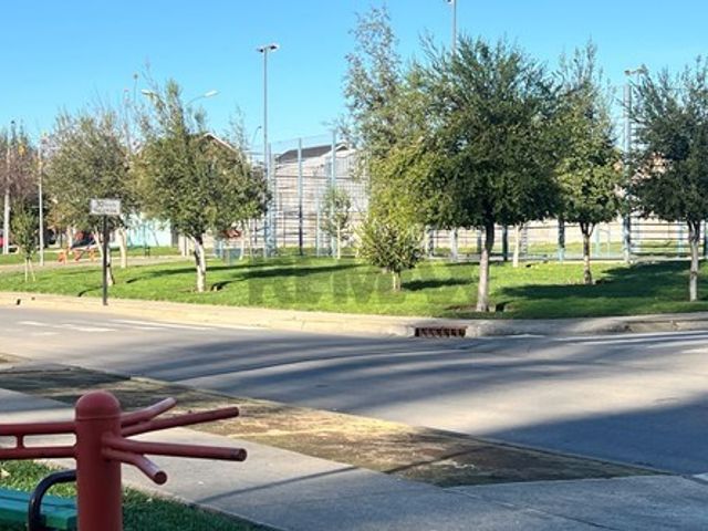 place photo 32