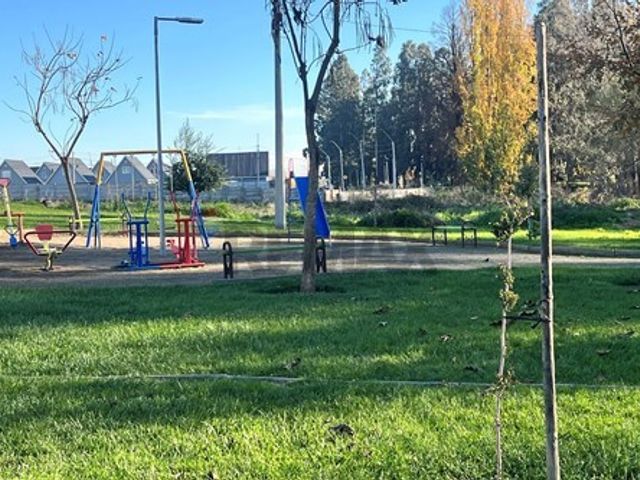 place photo 39
