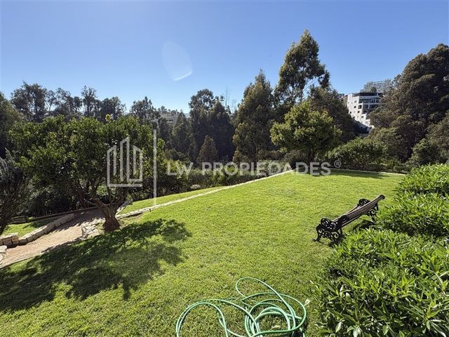 place photo 44