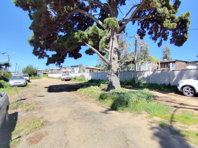place photo 21