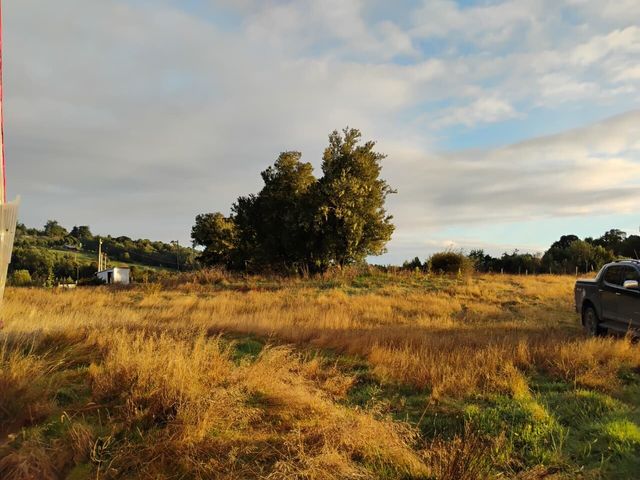place photo 41