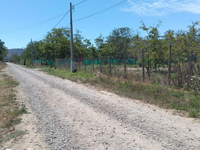 place photo 23