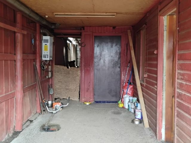 place photo 16