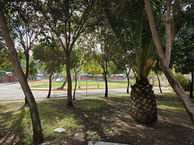 place photo 24
