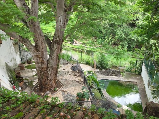 place photo 35